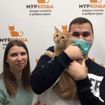 Сердолик