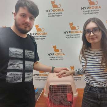 Сейди 
