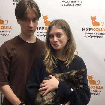 Шапелен 
