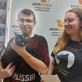 Солнце 