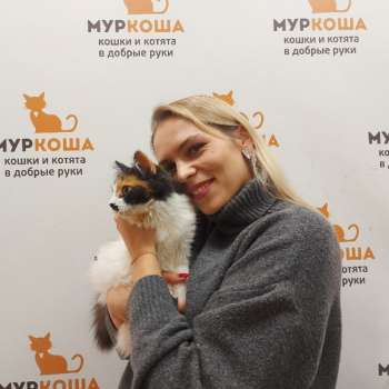 Сонатина