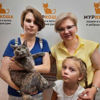 Стелла 