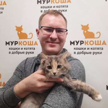 Сусаль