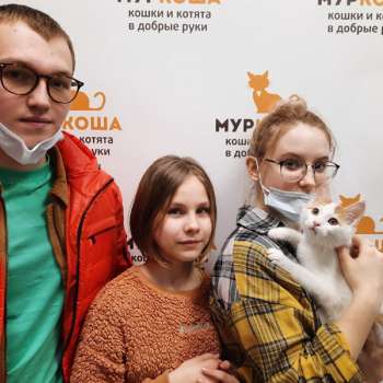 Тики 