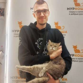 Тимонишна 