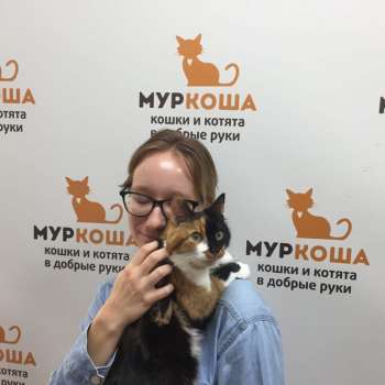 Трита 