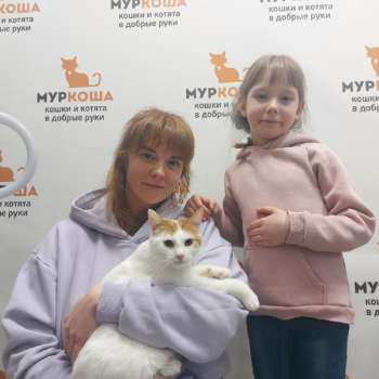 Триумф 