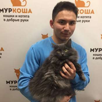 Тутундра 