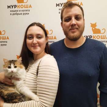 Ульянка 