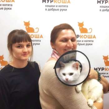 Уран 