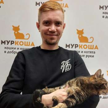 Усик