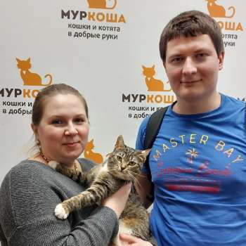 Ванесси 