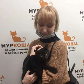 Вайкики 