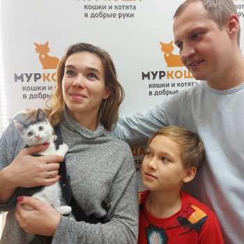 Верховенский 