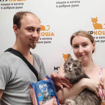 Выпечка 