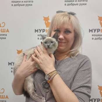 Залина 