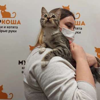 Зайчиша 