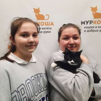 Алекто 