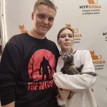 Андрикара 
