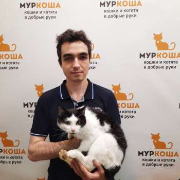 Антониус