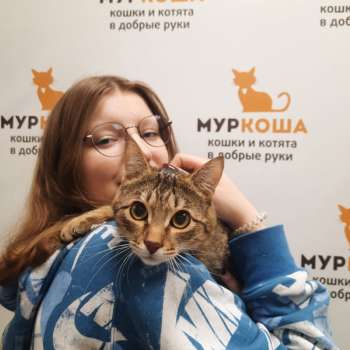 Арктик