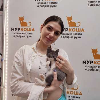 Барбарэлла 