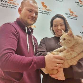 Барсс 
