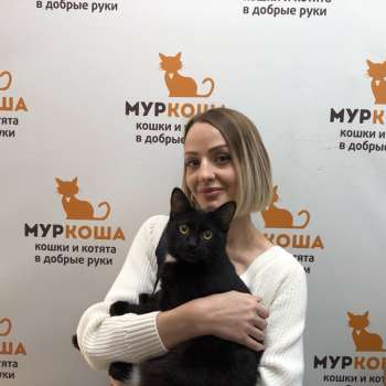 Брютер 
