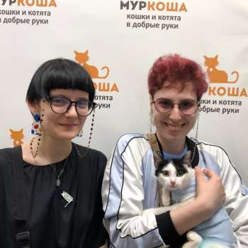 Буренка 