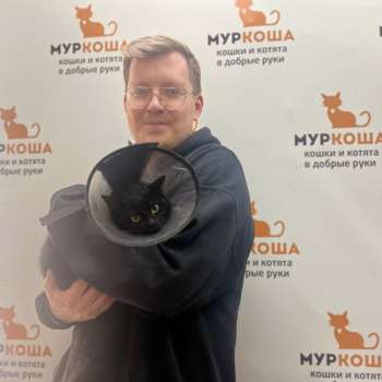 Чаплин 