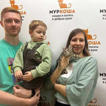 Чилинка 