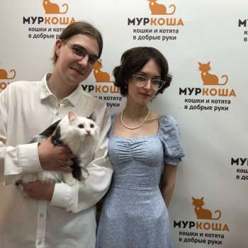 Чипсинка 
