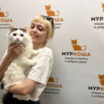 Чизи 