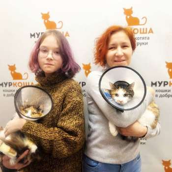 Дасти 