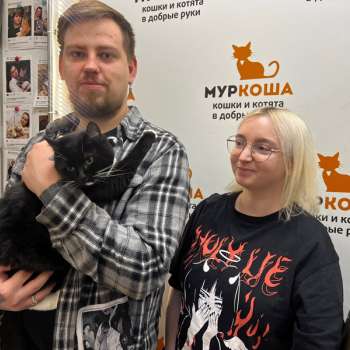 Дорида