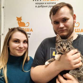Джизаль 