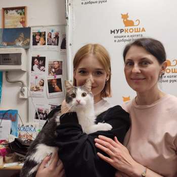 Джулио