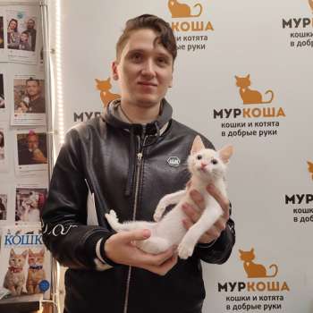 Эклерчик 