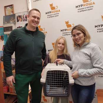 Элин 