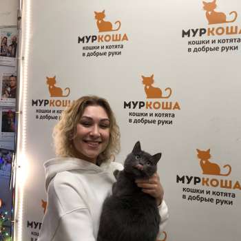 Эмлерия 
