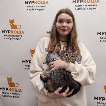 Фантеска