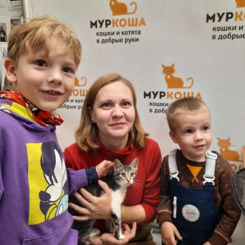 Фантола 