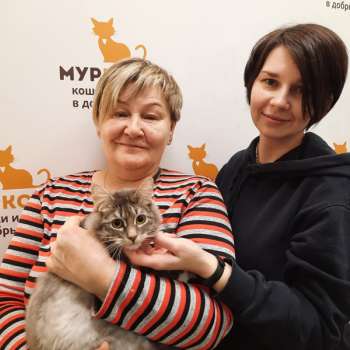 Филипок 