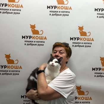 Филипп
