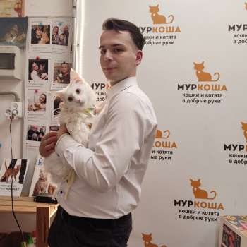 Фуджи 