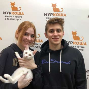 Георгина 