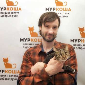 Графс 