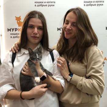 Грис 