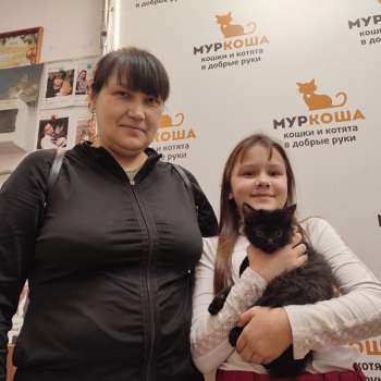 Гудрон 