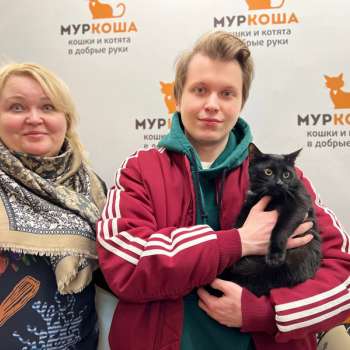 Иллюзия 